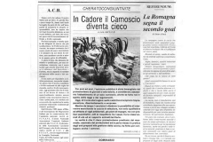 Caccia 2000 - Febbraio 1990