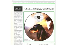 Caccia 2000 - Dicembre 1996