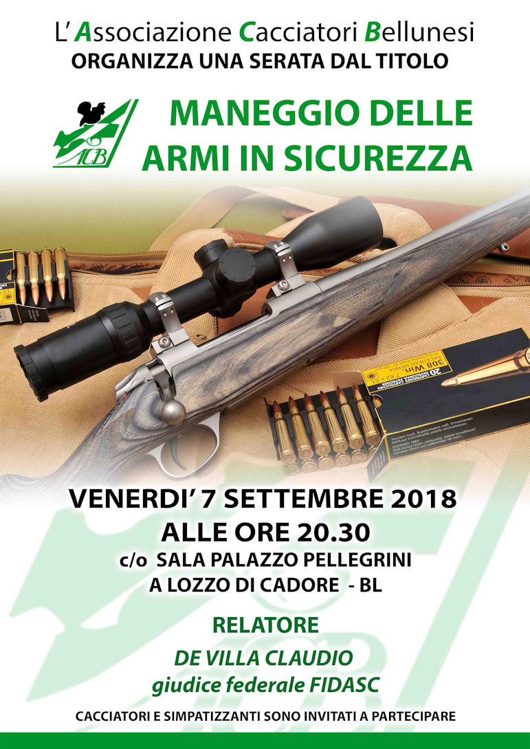 Maneggio armi in sicurezza